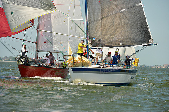 2015 Southern Bay Race Week A 1512