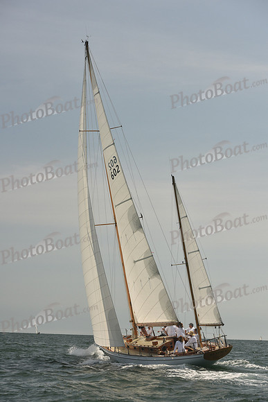 2018 Vineyard Cup A_0351