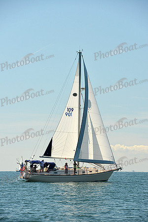 2015 Cape Charles Cup C 269