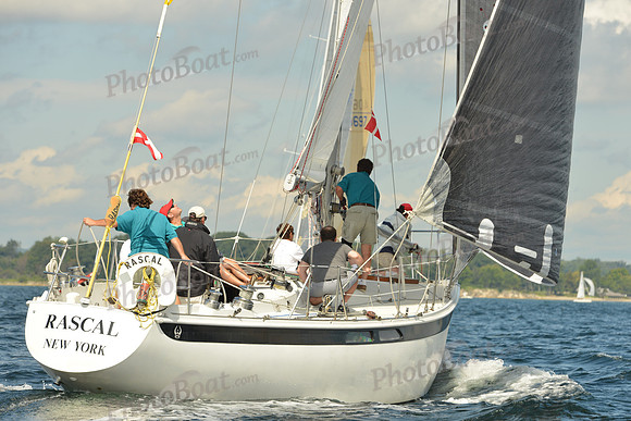 2015 Denmark Race A 449