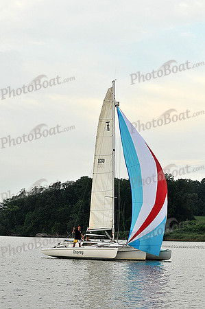 2013 Gov Cup C 342