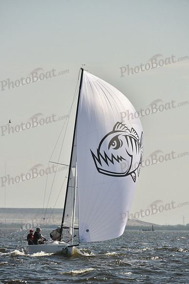 2019 J70 Winter Series C_0558