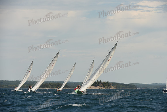 2016 Chester Race Week A_1175