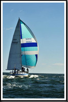 proof_2010_Vineyard_Race_0573