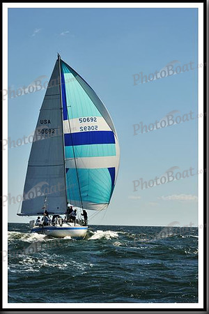 proof_2010_Vineyard_Race_0573