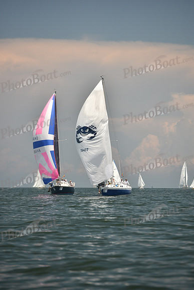2018 Southern Bay Race Week C_1542