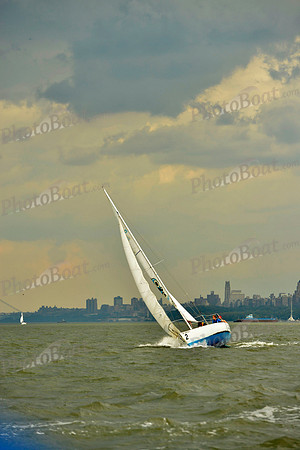 2017 NY Architects Regatta A_0386