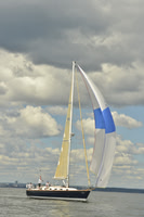 2016 Vineyard Race A_1030