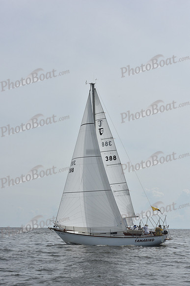 2019 Gov Cup A_0538