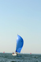 Blue Mouse