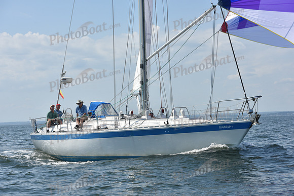 2019 Vineyard Race A_2881
