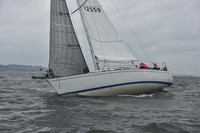 AMC_3519