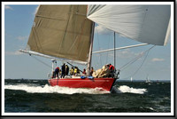 proof_2010_Vineyard_Race_0786