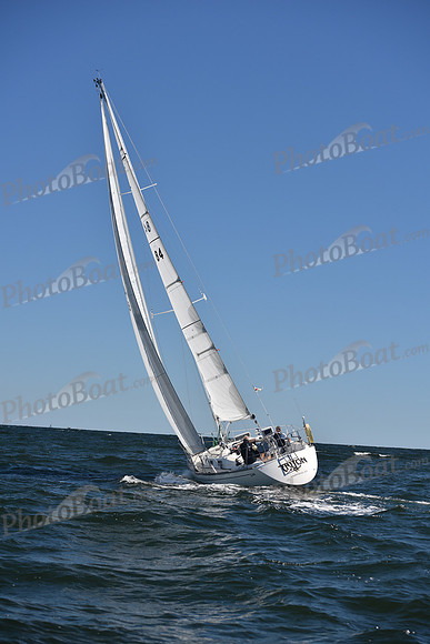 2022 Vineyard Race A_0257