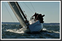 proof_2010_Vineyard_Race_2763