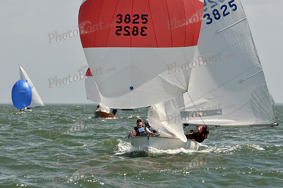 2012 Thistle Midwinters B 1281