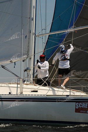 2011 Screwpile C 519