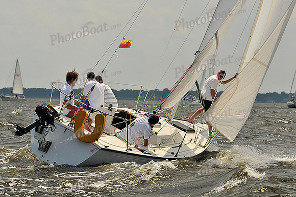2013 Gov Cup A 206
