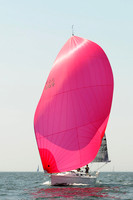 2012 Vineyard Race A 842