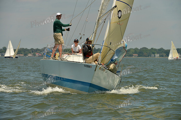 2016 Southern Bay Race Week F_0941