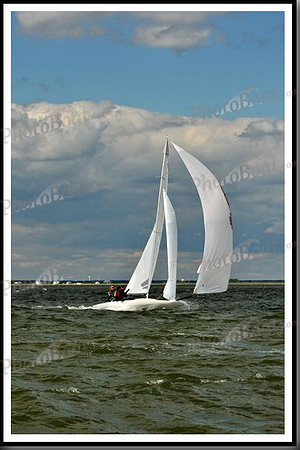 proof_2010_EScows_B 1233