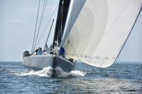 2019 Vineyard Race A_2842