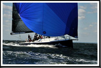 proof_2010_Vineyard_Race_0860
