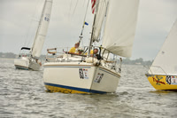 2018 Southern Bay Race Week D_0934