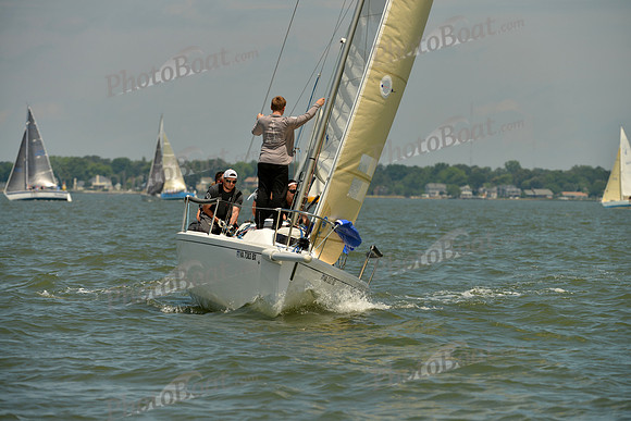 2016 Southern Bay Race Week F_0845