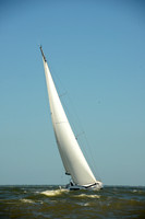 2016 Charleston Race Week B 0498