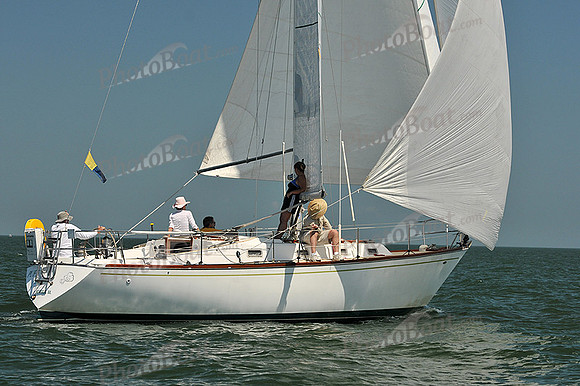 2013 Southern Bay Race Week C 1100