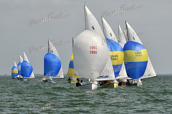 2012 Thistle MidWinters B 1390