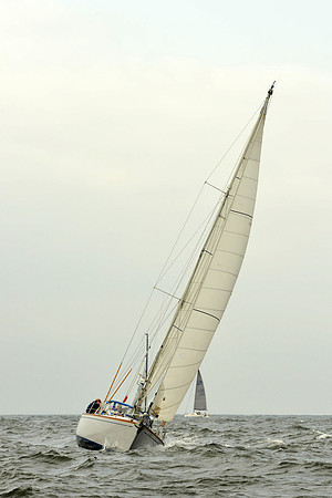 2015 Vineyard Race A 102