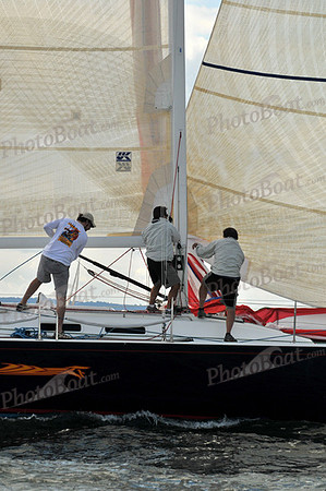 2010 IRC LIS 546