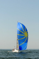 2012 Vineyard Race A 830