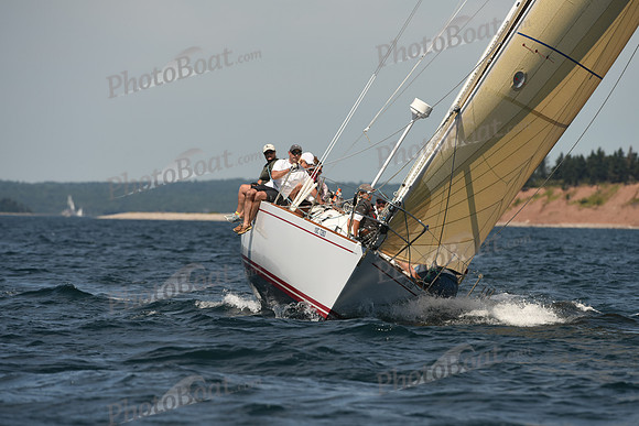 2016 Chester Race Week A_0293