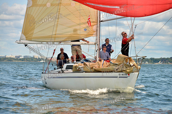 2017 Stamford Denmark Race_0997
