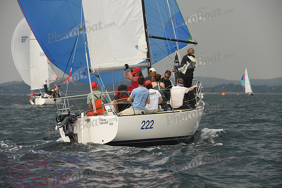 2016 Chester Race Week D_0739