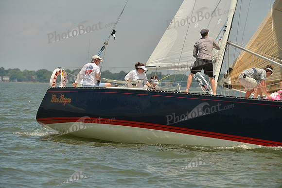 2016 Southern Bay Race Week F_0869