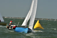 2012 Thistle Midwinters B 839