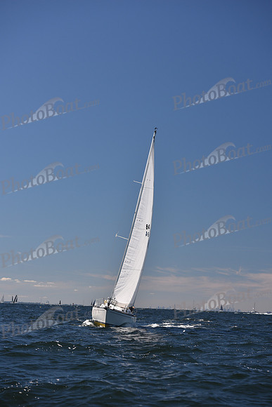 2022 Vineyard Race A_0234