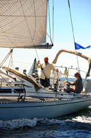 2014 Vineyard Race A 492