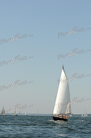 2012 Vineyard Race A 044