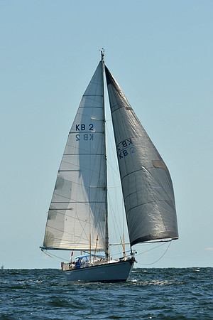 2015 Vineyard Race C 342