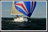 proof_2010_Vineyard_Race_0298