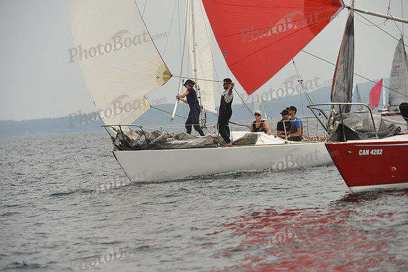 2016 Chester Race Week D_0258