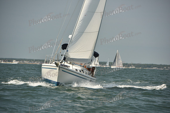 2018 Vineyard Cup A_0812