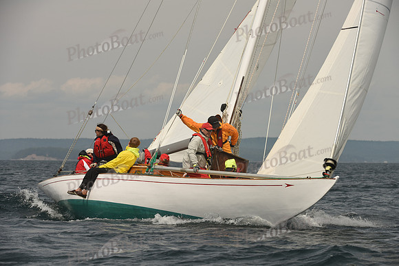 2016 Chester Race Week C_0728