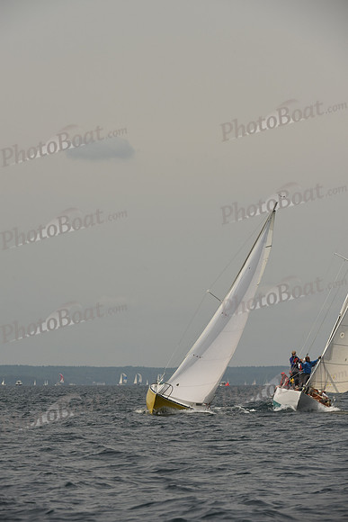 2016 Chester Race Week C_0677