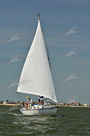 2013 Southern Bay Race Week D 905